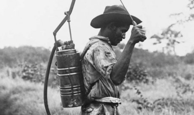 William C Gorgas, an American Tropical disease expert helped nearly wipe out the spread of yellowfever and malaria