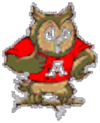 Went to elementry school.