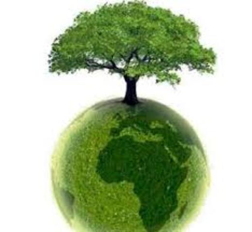 Power relations between environmentalist groups and the state