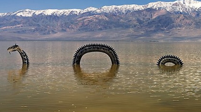 First Creature Sighting