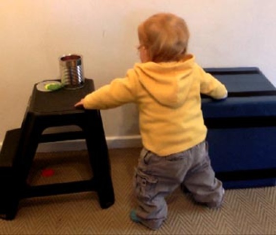 1 Year Old - 2 Years Old