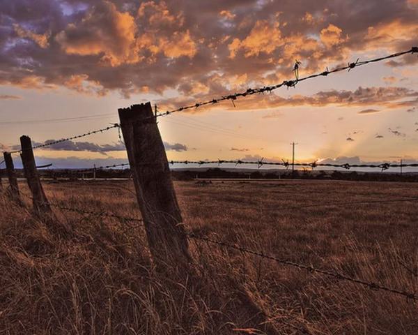 The Barbed Wire Barrier