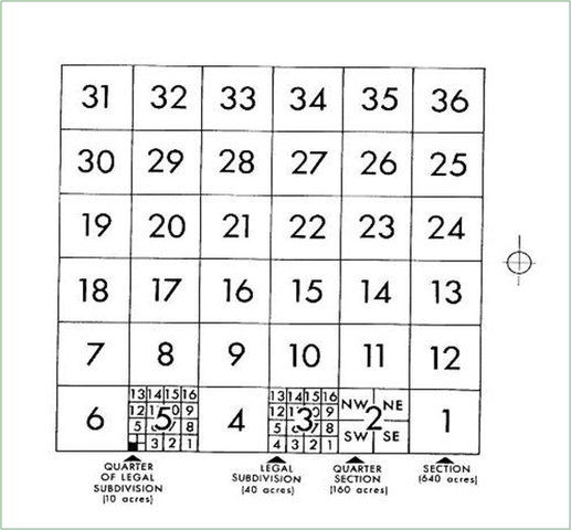 What the loyalists did