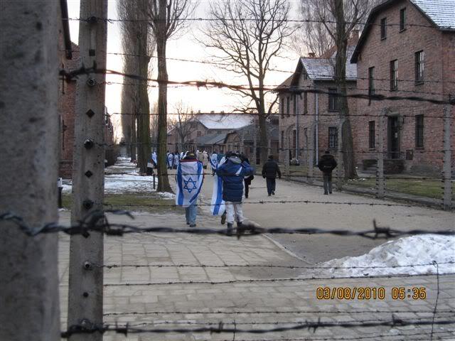 The Eyes through the Barbed WIre