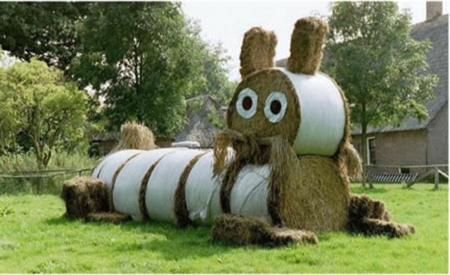 La lapine est morte.