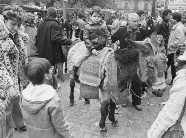 Febre groga a Barcelona