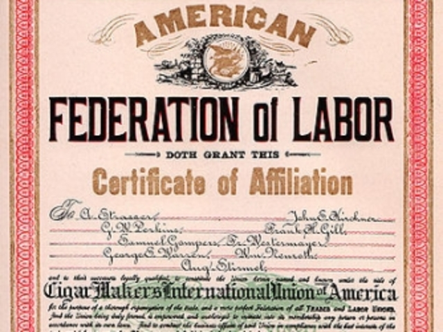 Newly formed AFL supports state minimum age laws