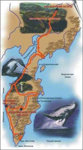 Открытие Камчатки В.Атласовым