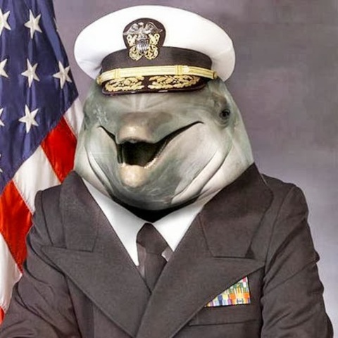 Dolphin gets saved and joins military to complete noscope training