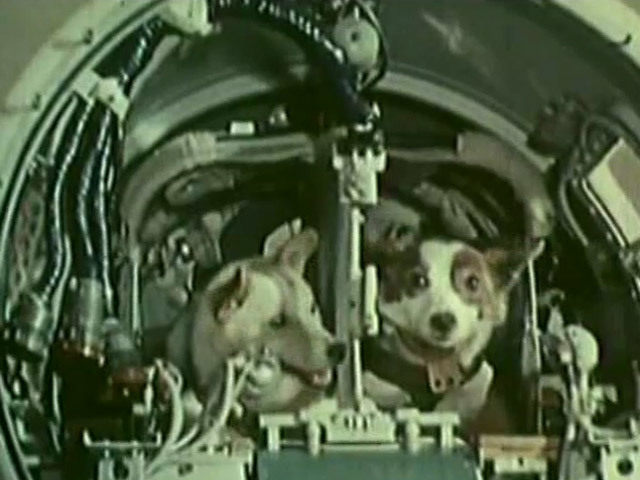 Полёт Белки и Стрелки