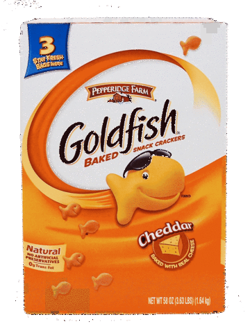 Goldfish: Gone Goldfishn'