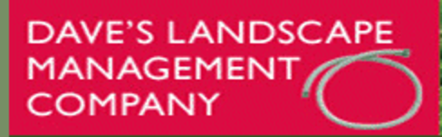 First Job in The USA