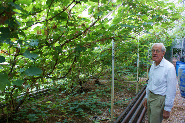 Mr Hunnewell's death