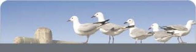 Δίκτυο Σχολικής Καινοτομίας