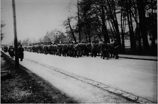 Vladek Marches from Auschwitz to Breslau, Germany