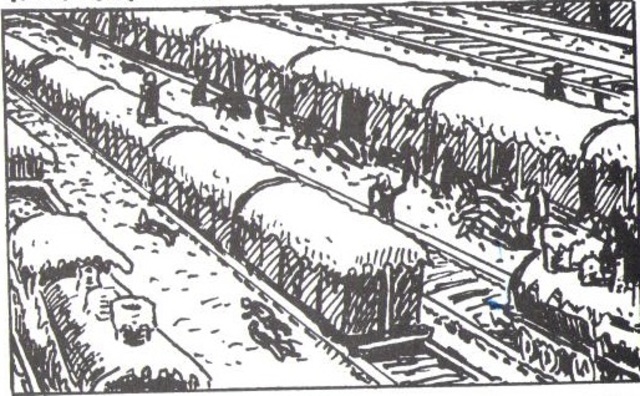 Vladek is Sent to the Dachau Camp on a Train