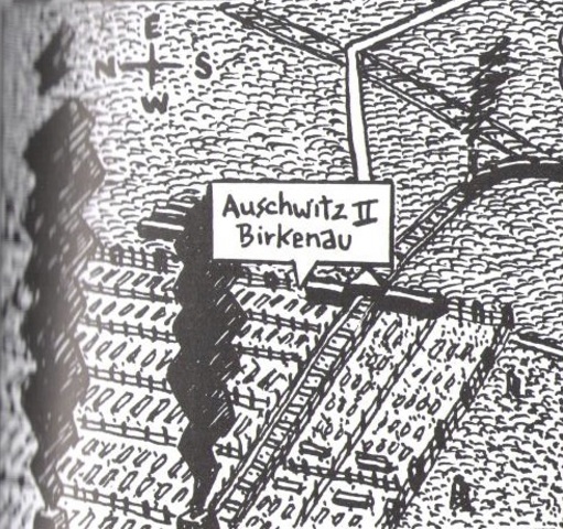 Vladek Works in Birkenau to See Anja