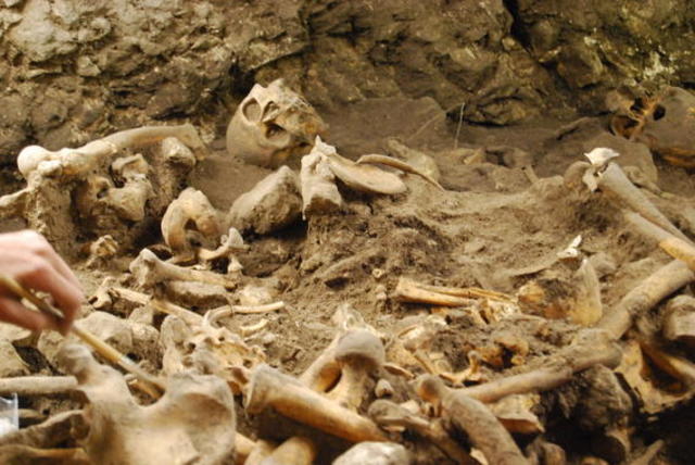 Encontrados en Atapuerca los restos más antiguos de Europa.