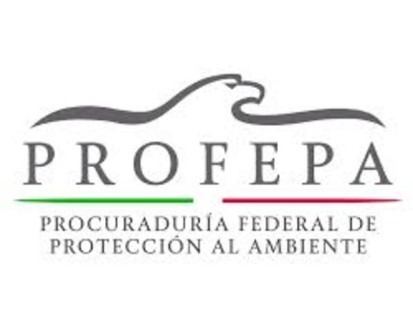 Creación PROFEPA