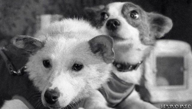 Орбитальный полёт