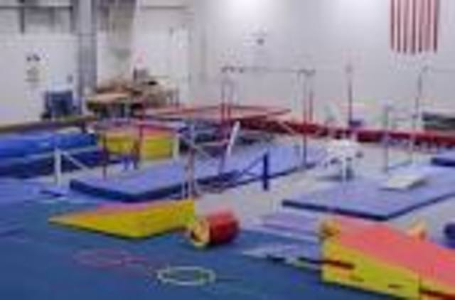 Started Gymnastics