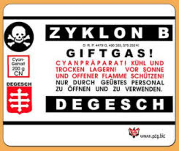 The use of the gas chambers begins