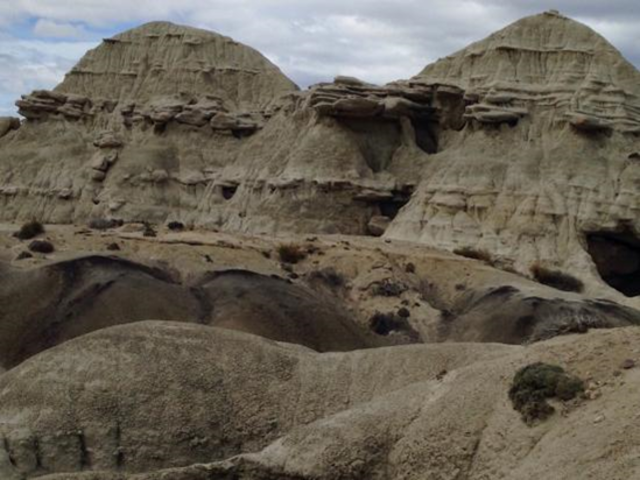 La Leona petrified forest