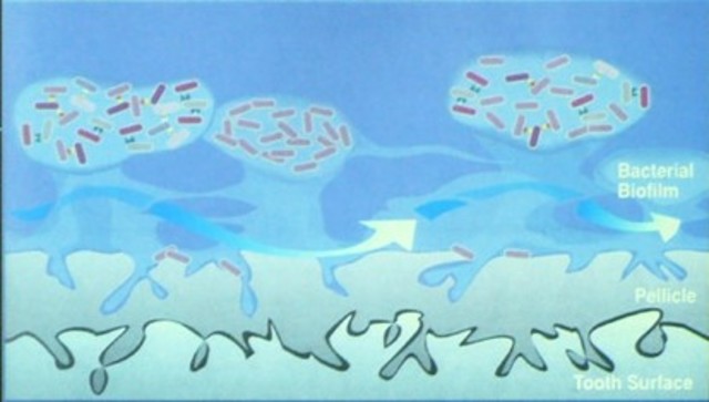材料老化实验计划拟定完成