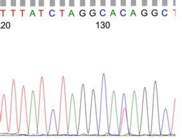 *开始学习生物信息学