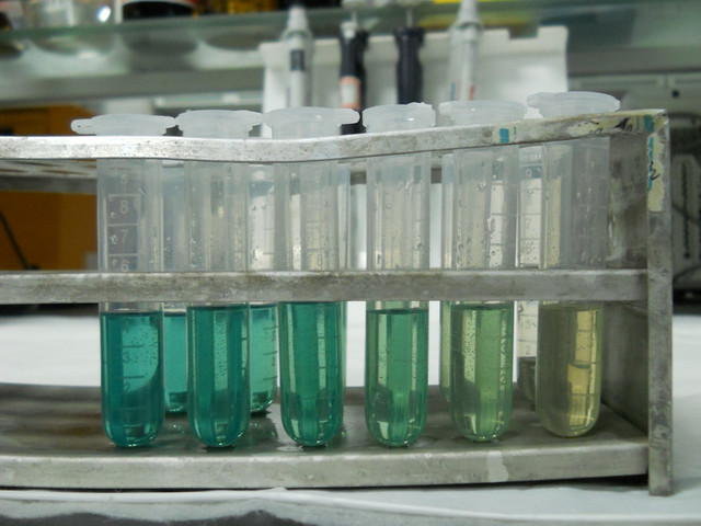 *第一次完成蒽酮实验