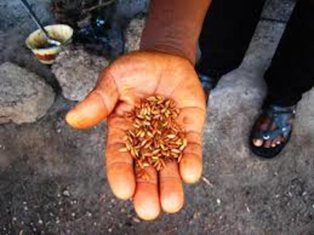 Challenge in Sierra Leone