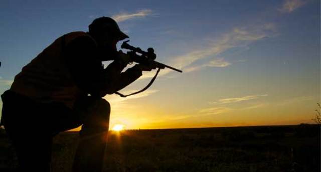 Challenge: Hunting in the Serengeti