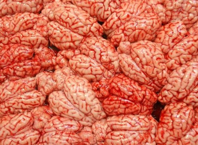 Cultural Challenge in Egypt