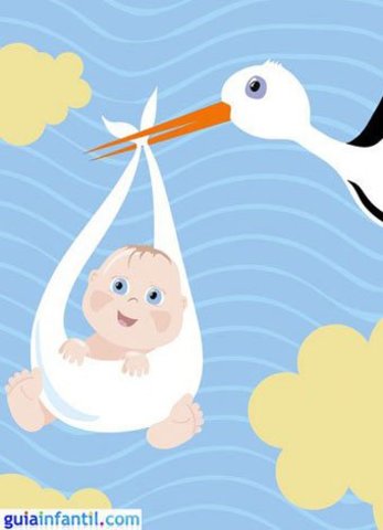 Neixament AVI ALFONSO