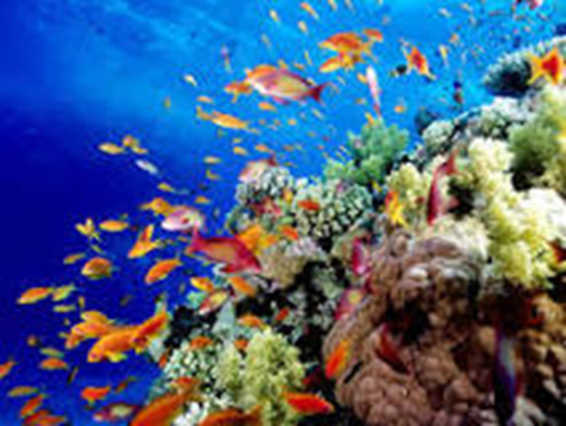 Great Barrier Reef