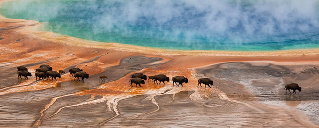 Fundación del primer parque nacional del mundo