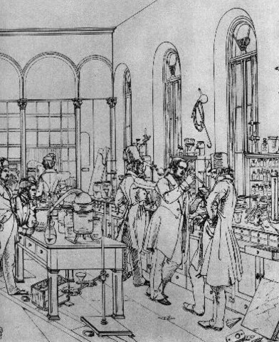 Rise of Modern Society