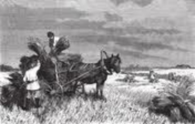 Italy unified; Russian serfs emancipated