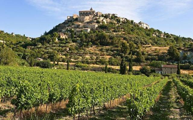 The team will arrive at hotel on the vineyard to tour.  Sleep at hotel.  Champagne Challenge.