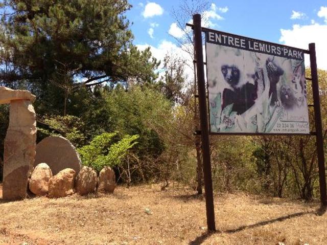 Tour the Lemurs Park