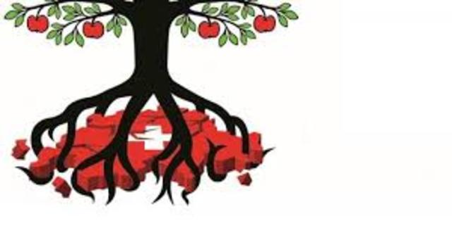 Abstimmung Masseinwanderungsinitiative