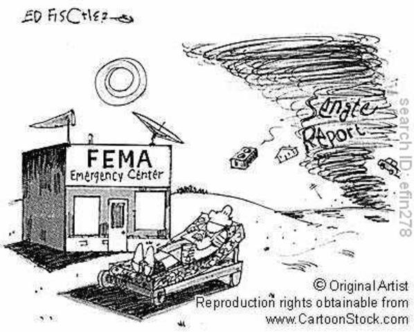 The Federal Emergency Relief Administration