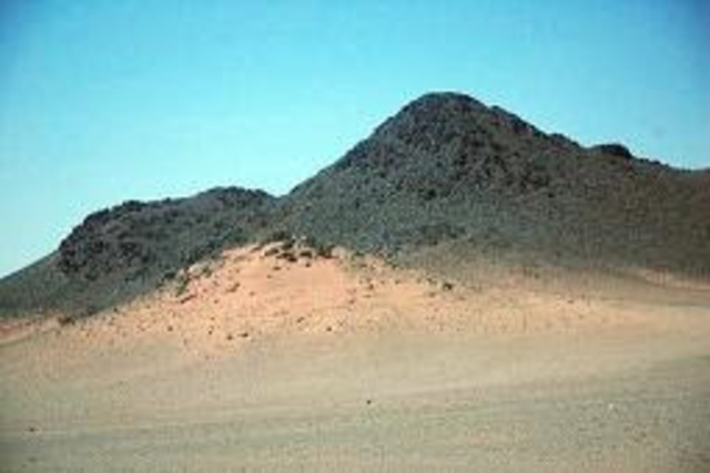 Public Preaching Begins