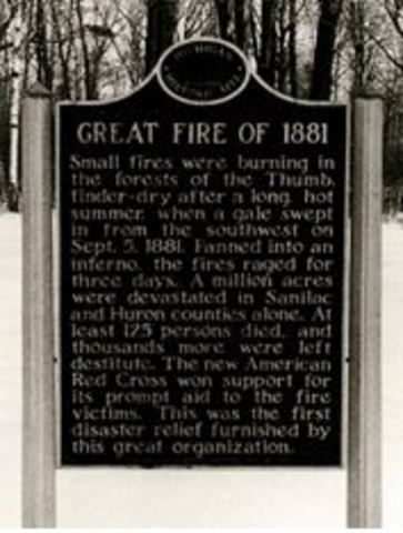 Michigan Forest Fire