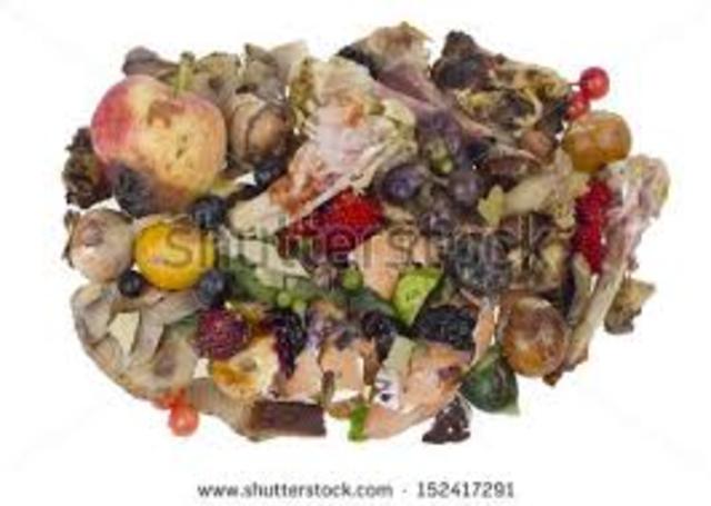 The first year in panama mirrorred the French disaster