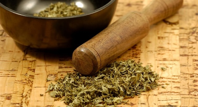 Bush Medicine Challenge