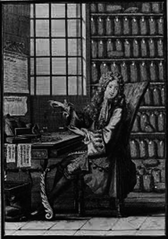 Rise of the Middle Class