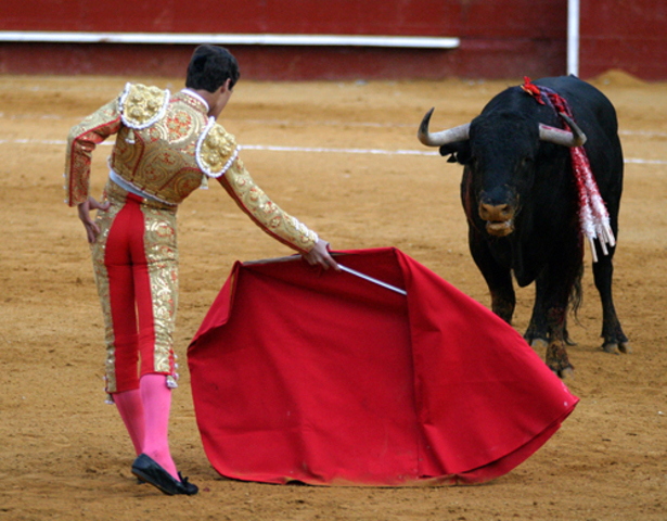 Bullfighting at Monumental Plaza de Toros Mexico