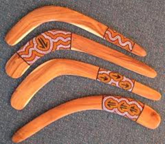 Learn to use and hunt with a hunting boomerang