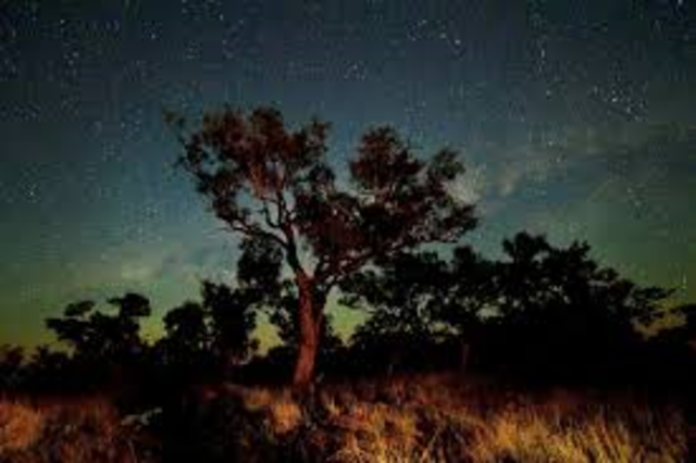 Sleep under the stars